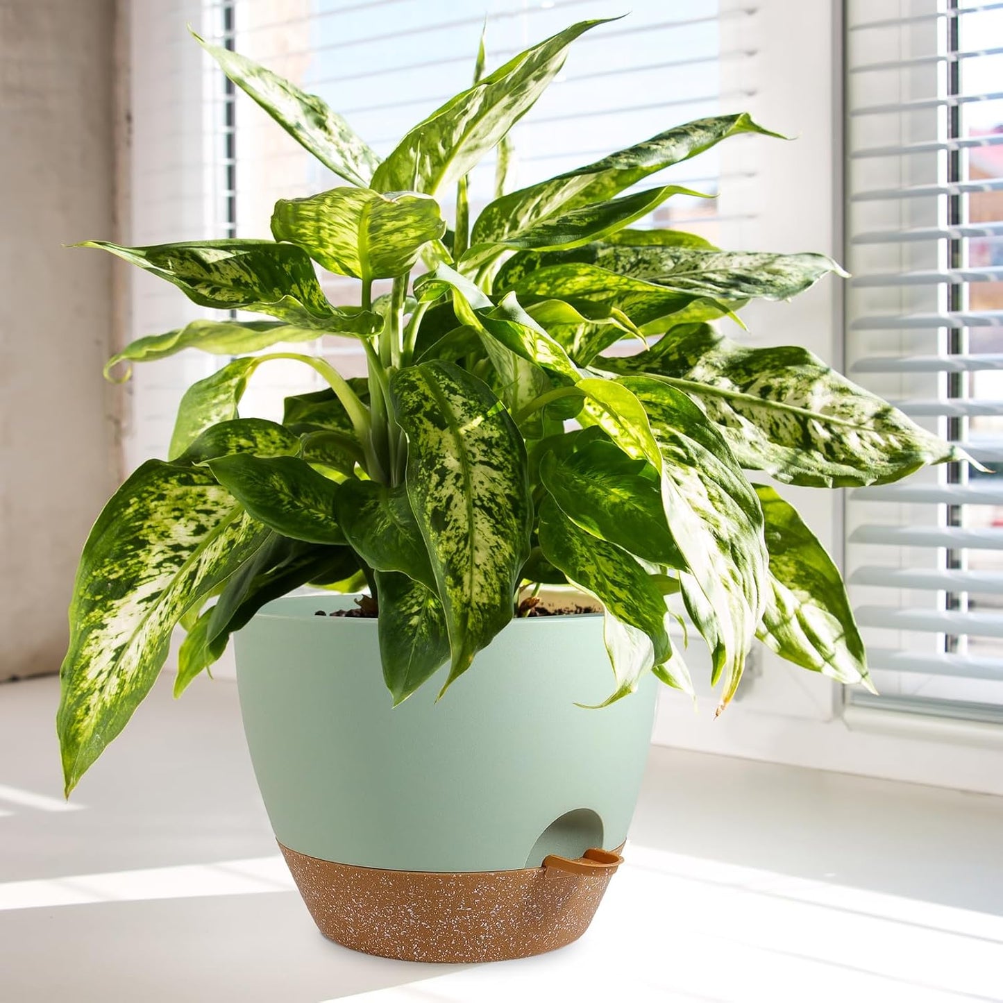 Big Self Watering Pots 12/10/9 inch, Planter, Plant Pots with Mesh Drainage Holes for Indoor Outdoor Garden Plants, Plastic Flower Pots with Removable Deep Reservoir, Green with Brown