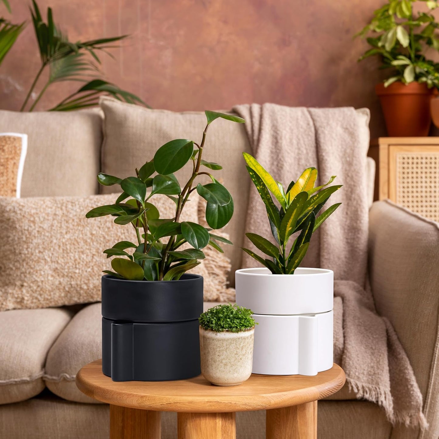 Phoenix Vine 8 Inch Self-Watering Planter Pot with Terracotta Insert, Deep Water Reservoir, and Ceramic-Alike BPA-Free Plastic Planter Pot for Plant, Modern Planter for Houseplants, White, 53-A-T-1