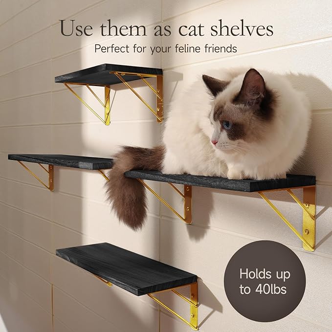 BAYKA Floating Shelves for Bedroom Decor, Wall Shelves for Storage, Wall Mounted Rustic Wood Floating Shelf for Books,Corner Shelf for Bathroom,Kitchen,Living Room(Black and Gold,Set of 4)