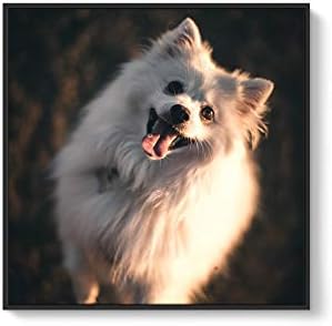 NWT Custom Framed Canvas Prints with Your Photo for Pets, Personalized Canvas Wall Art for Living Room, Bedroom - 16x16 inches