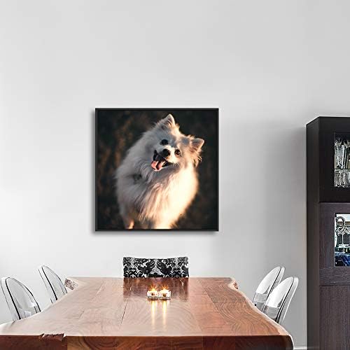 NWT Custom Framed Canvas Prints with Your Photo for Pets, Personalized Canvas Wall Art for Living Room, Bedroom - 24x24 inches