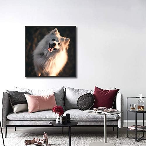 NWT Custom Framed Canvas Prints with Your Photo for Pets, Personalized Canvas Wall Art for Living Room, Bedroom - 16x16 inches