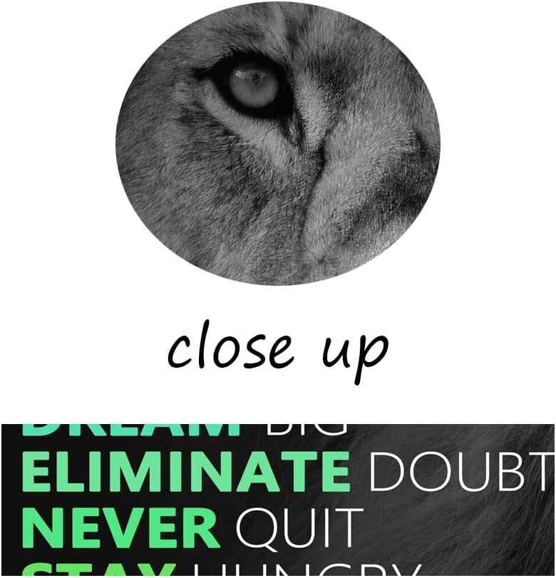 Inspirational Canvas Wall Art Colorful Poster Painting Artwork Motivational Lion Picture Print Wall Decor for Home Office Living Room Bedroom Workplace Wooden Framed Ready to Hang [12''Wx 18''H]