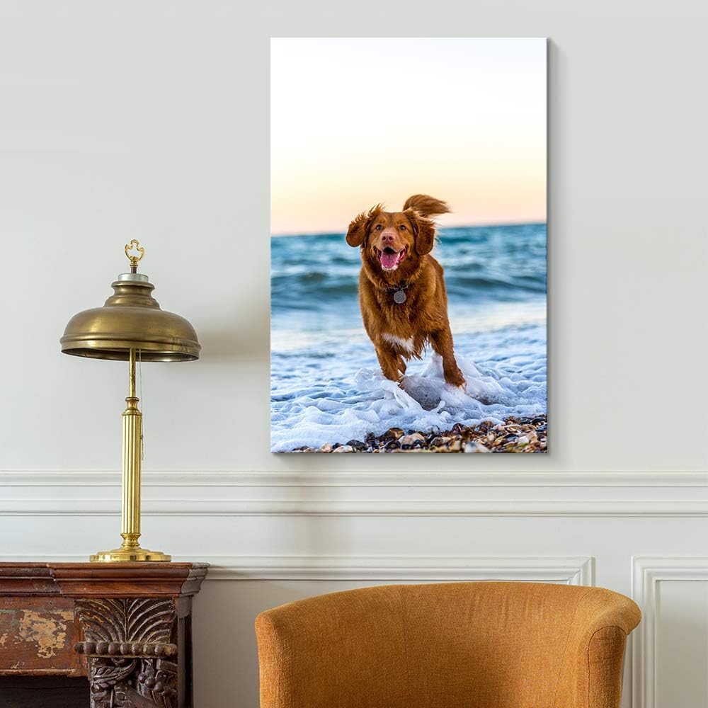 NWT Custom Canvas Prints with Your Photos for Pet/Animal, Personalized Pictures to Canvas for Wall Framed 10x8 inches