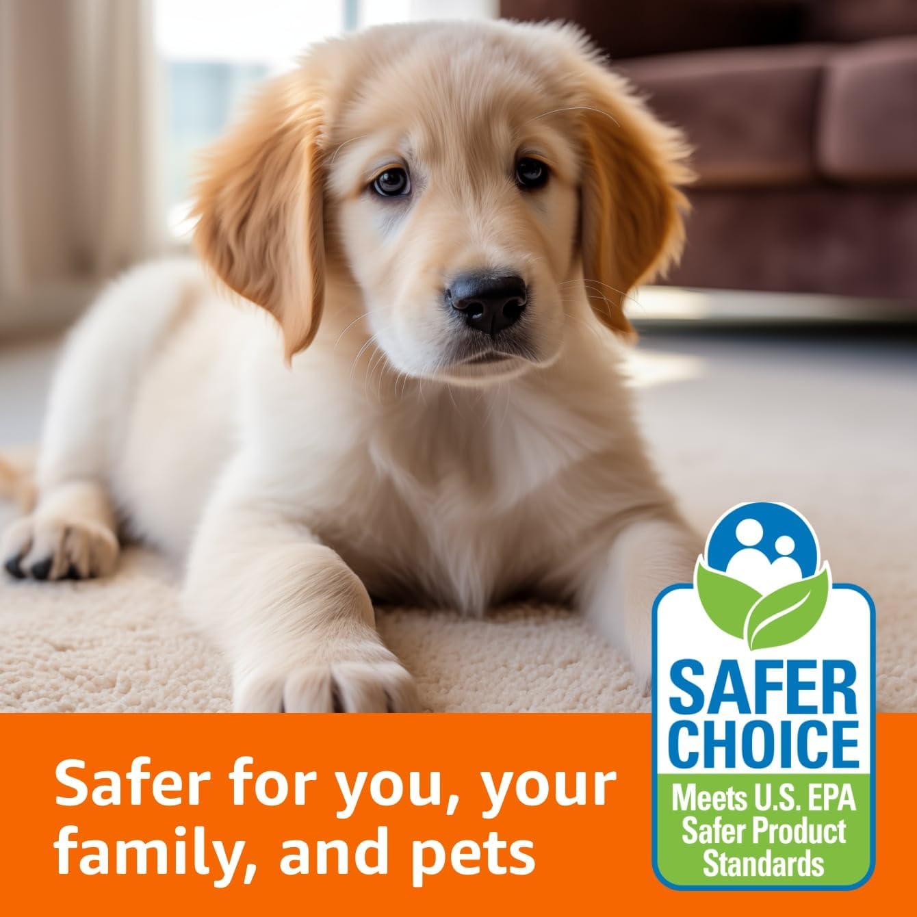 Amazon Basics Pet Stain & Odor Carpet Stain Remover Cleaner, Fresh Scent, 64 fl oz (Pack of 2)