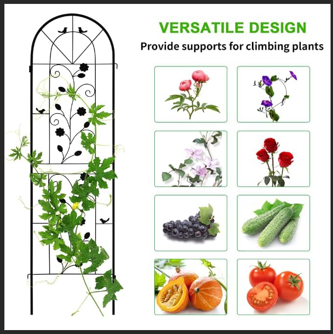 LZRS 4 Pack Rustic Iron Arch Decoration Garden Trellis with Black Metal Coating – Perfect for Supporting Climbing Plants Outdoor, Roses, Vines, Flowers, and Vegetables.