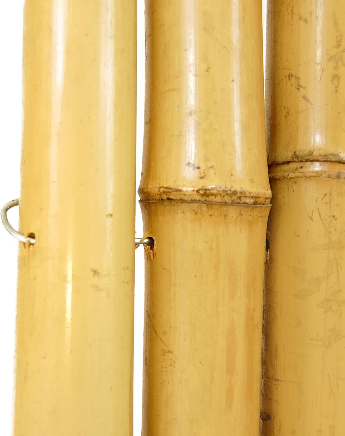 Backyard X-Scapes Natural Bamboo Fencing Decorative Rolled Fence Panel 1 in D x 4 ft H x 8 ft L