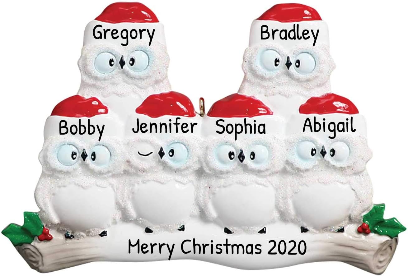 3D Owl Family of 6 Ornament 2025 Personalized Family Christmas Ornaments 2025 | White Holiday Keepsake Woodland Owls Personalized Tree Ornaments for Grandchildren, Siblings & Grandkids of Six Ornament