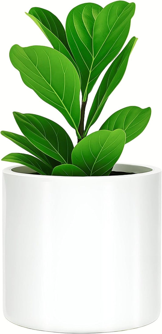 Fox & Fern 10 Inch Plant Pot with Drainage Plug — Premium Lightweight Fiberstone Glossy White Planter; Indoor & Outdoor Planter; 10 Inch Pots for Plants; Weather Resistant & UV Resistant