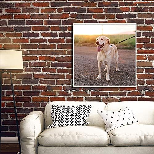 NWT Custom Framed Canvas Prints with Your Photo for Pets, Personalized Canvas Wall Art for Living Room, Bedroom - 24x24 inches