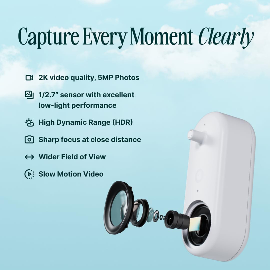 Birdbuddy PRO Solar Smart Bird Feeder with Camera - AI Bird Species Identification, 5MP Photos, 2K HD Video Live Stream Camera, Slow-Motion Video, 2.6in Focus - Blue Solar