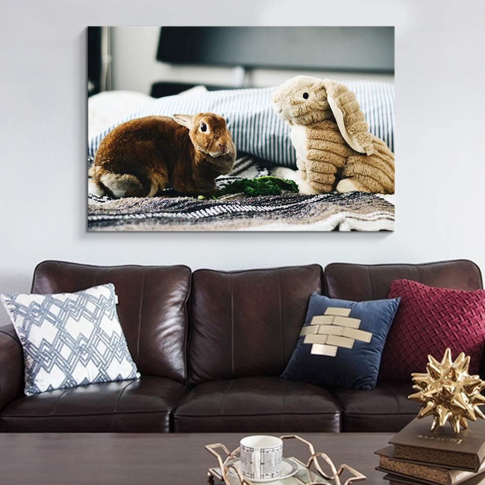 NWT Custom Canvas Prints with Your Photos for Pet/Animal, Personalized Canvas Pictures for Wall to Print Framed 16x24 inches