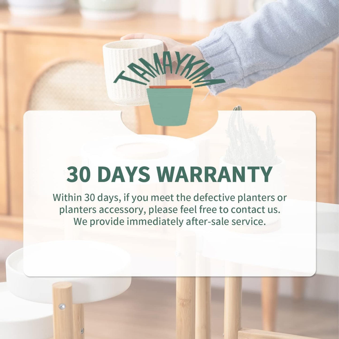 TAMAYKIM 4 Inch Ceramic Plant Pots with Drainage Holes, Modern Flower Planter with Saucer for Indoor Plants, Succulent, Cactus & Herbs, Beige, Set of 4 (Plants Not Included)