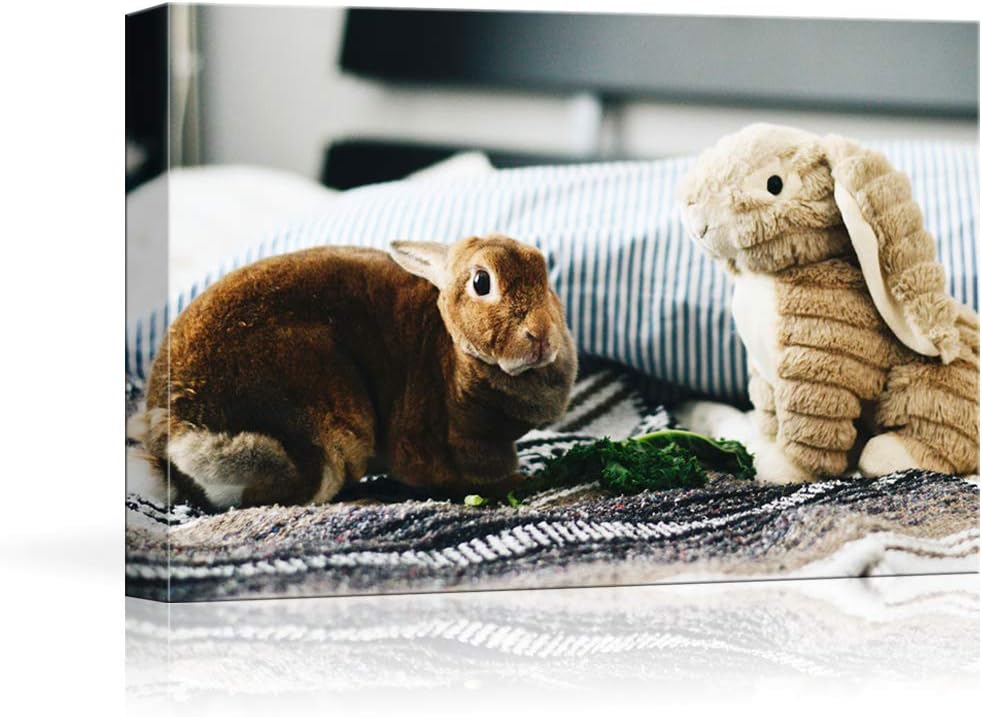 NWT Custom Canvas Prints with Your Photos for Pet/Animal, Personalized Canvas Pictures for Wall to Print Framed 24x36 inches