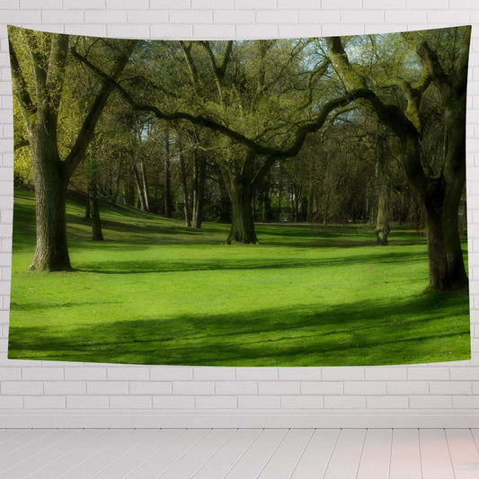 Landscape Tapestry For Bedroom Landscape Of Kings Park Green And Nature Scene Tapestries Wall Hanging For Living Room Dorm Office 90×60 In