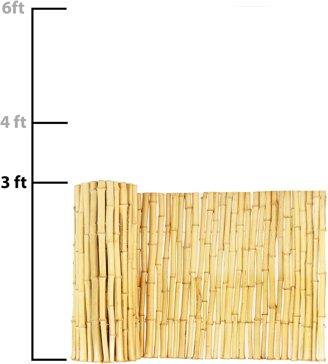 Backyard X-Scapes Natural Bamboo Fencing Decorative Rolled Fence Panel 0.75 in D x 3 ft H x 8 ft L