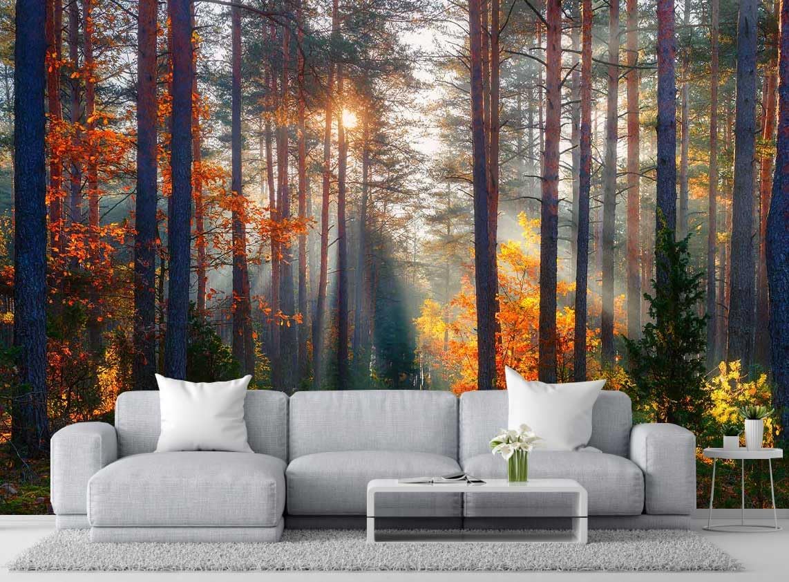 Autumn Sunshine in The Woods Wallpaper, Natural Landscape Mural, Modern Living Room Bedroom Backdrop Wall Mural(Non-self-Adhesive)