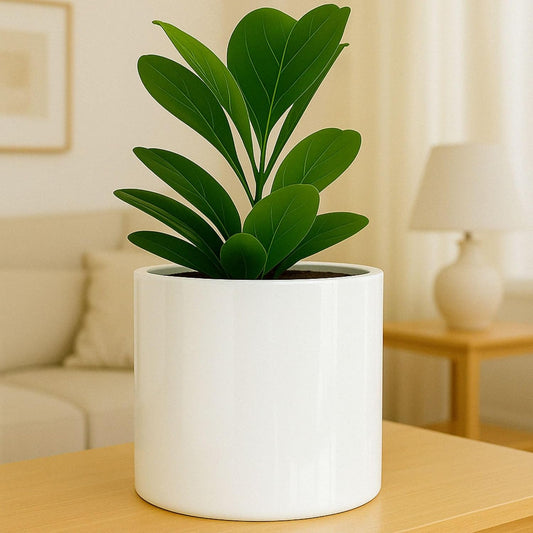 Fox & Fern Large 12 Inch Planter — Premium Lightweight Fiberstone Glossy White Plant Pot; Drainage Plug; Large Indoor & Outdoor Floor Planter; 12 Inch Pots for Plants; Weather Resistant & UV Resistant