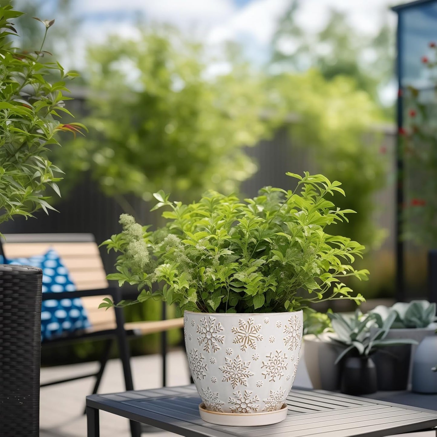 6.9 Inch Plant Pot with Drainage Hole and Saucer Ceramic Planter for Indoor Plant Flower Pot for Orchid Succulents Plants White