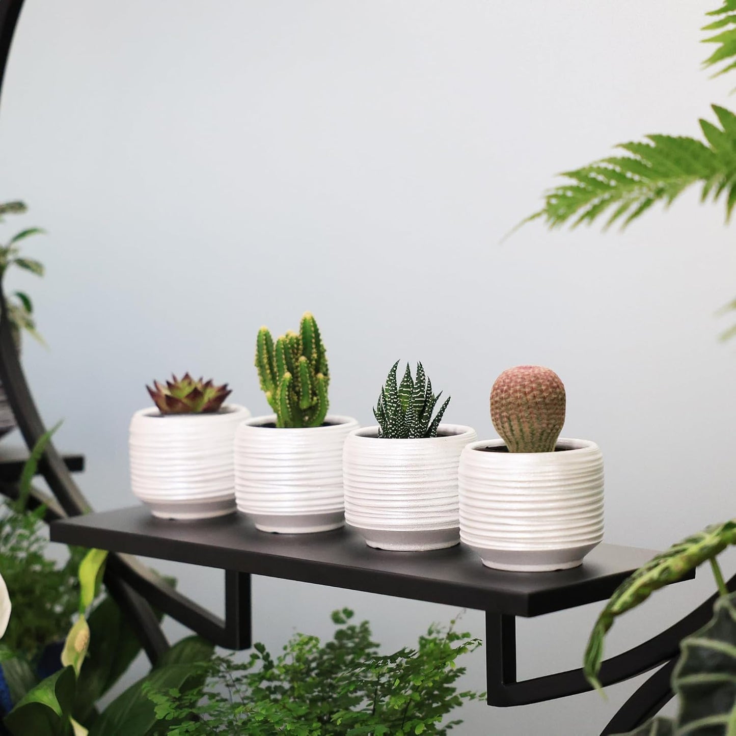 Mini Succulent Planter Set – 3.7 Inch Ceramic Pots with Drainage for Indoor Plants, Small Decorative Flower Pots for Cactus and House Plants, Set of 4