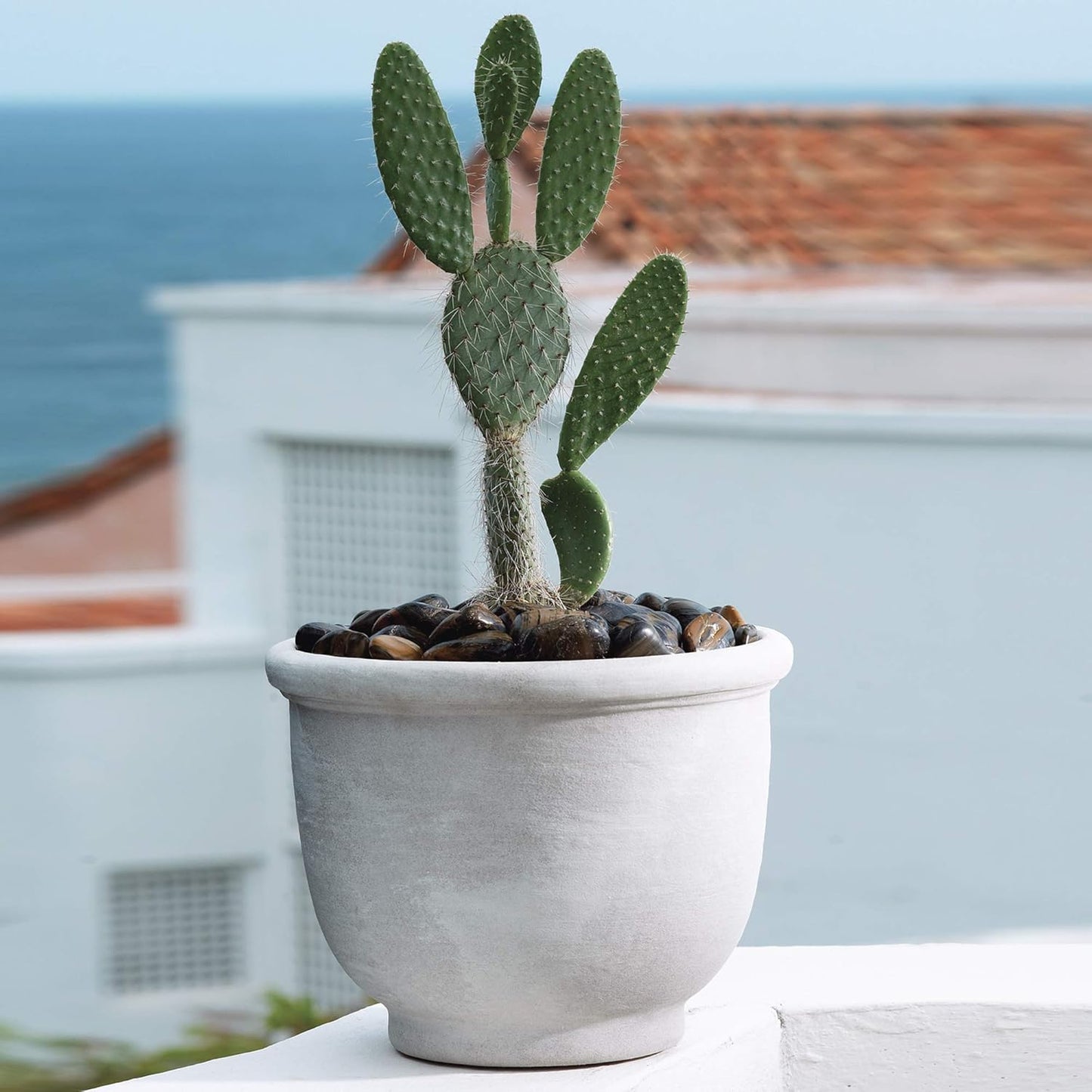 Crescent Garden Agave Planter, Charming Old-World Plant Pot, 21-Inch (Parchment)