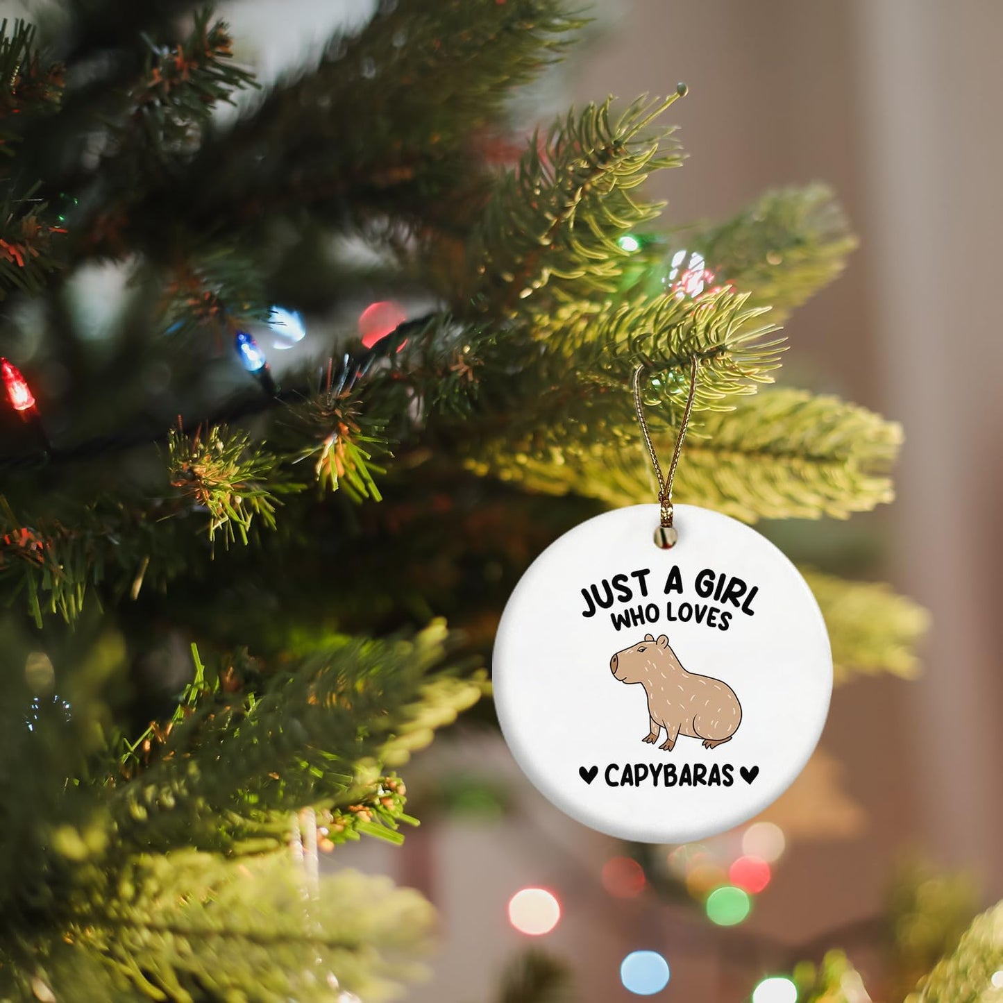 Capybara Ornament, Capybara Ornament, Capybara Gifts, Capybara Tree Decorations, Just a Girl Who Loves Capybaras Ceramic Ornaments, Capybara Decorative Hanging Ornament