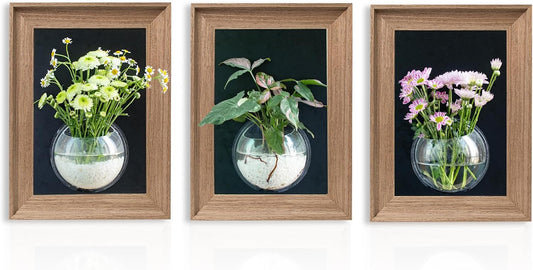 Walnut Wooden Frame Wall Hanging Planter for Hydroponic Plants，12'' x16''inch Wall Vase with Oblate-Shaped Acrylic Propagation Station，Bathroom, Office, or Living Room Decor, Set of 3