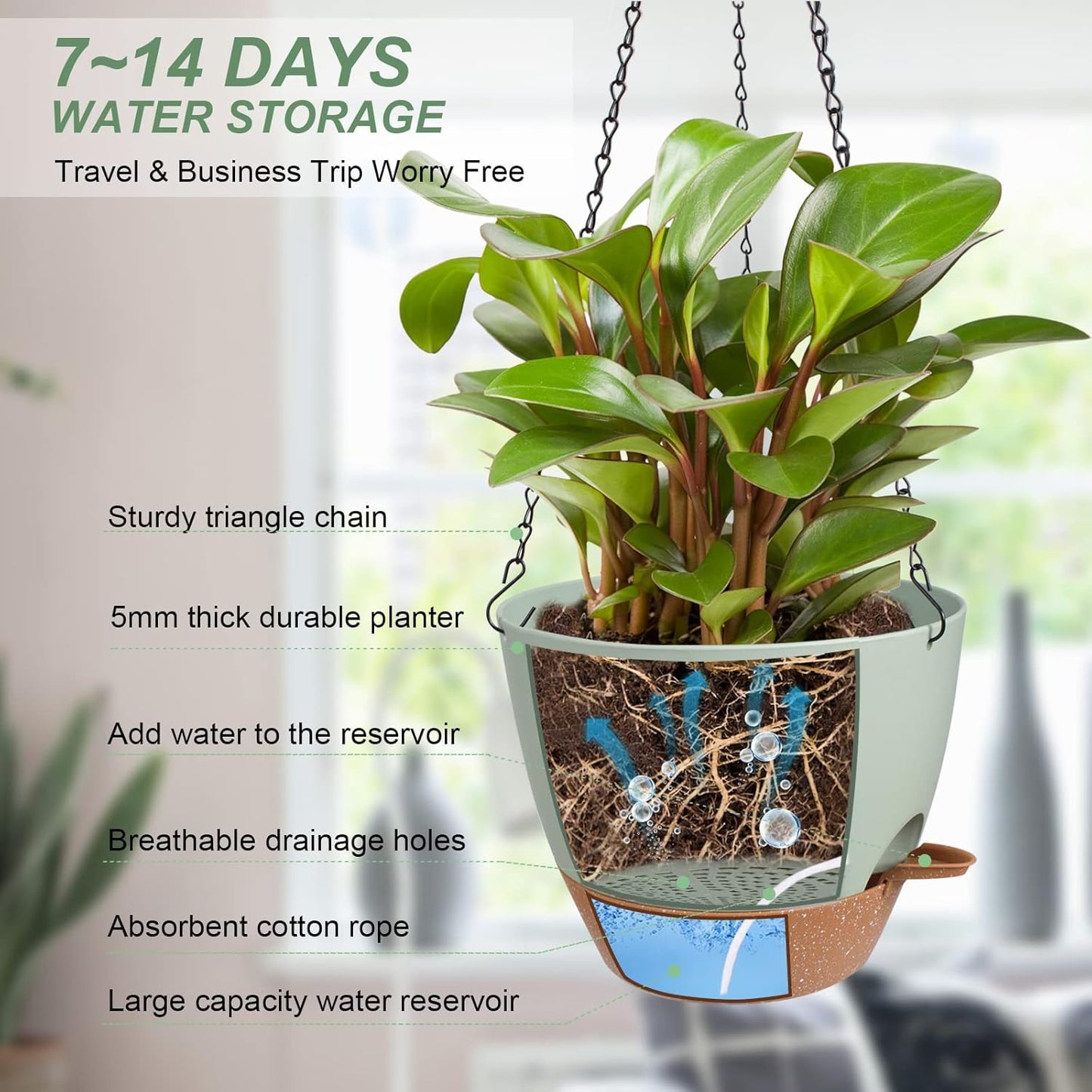 Hanging Planters for Indoor Outdoor Plants, 2 Pack Self Watering Hanging Pot with Drainage Holes & Removable Tray (Green, 8'')