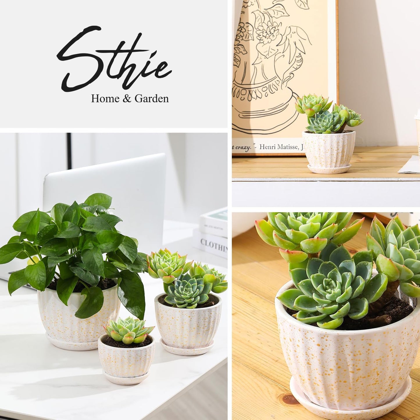 Ceramic Plant Pots with Drainage Holes and Saucers, Round Flower Pots for Indoor Plant, Diameter 3.3/4.3/5.5 Inches Small Flower Planters Set of 3