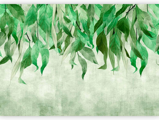 artgeist Premium Wall Mural Hanging Leaves 138x101 in - Non-Woven Wallpaper Fleece Wall Decor Photo Print Picture Image Design Nature Botanical Concrete Green Like Painted b-C-10146-a-a