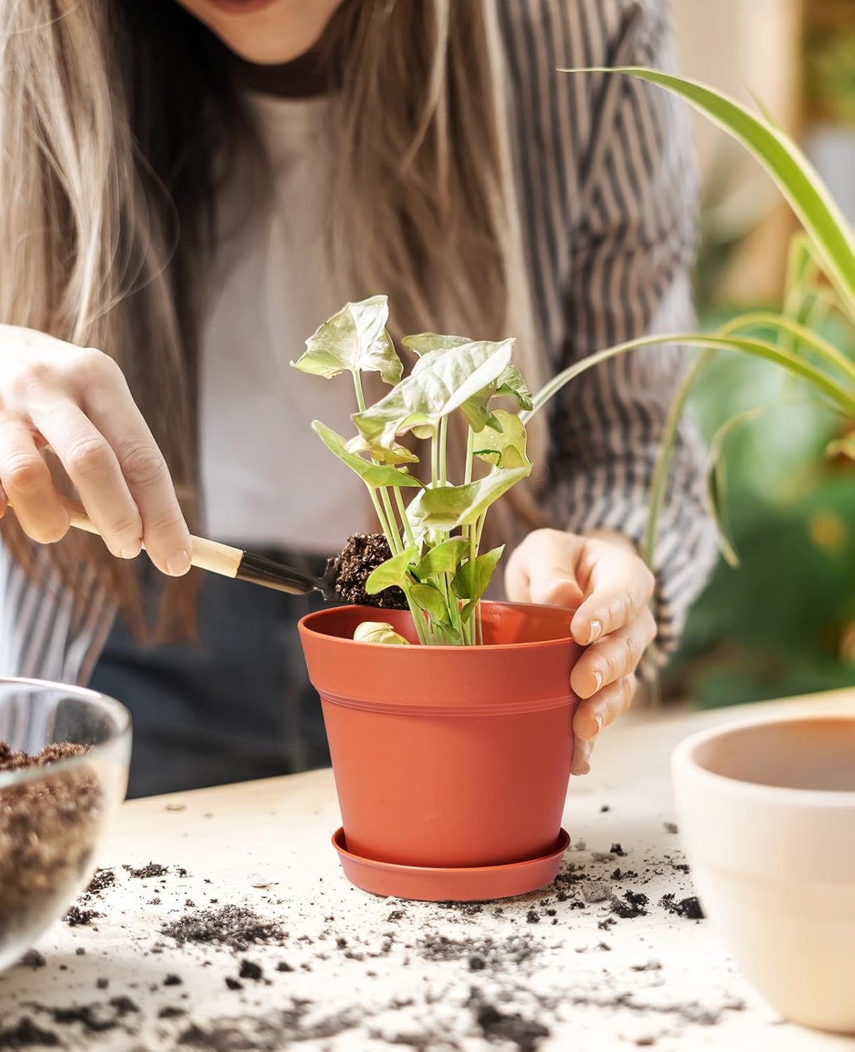 homenote Pots for Plants, 15 Pack 6 Inch Plastic Planters with Multiple Drainage Holes and Tray - Plant Pots for All Home Garden Flowers Succulents (Terra Cotta)