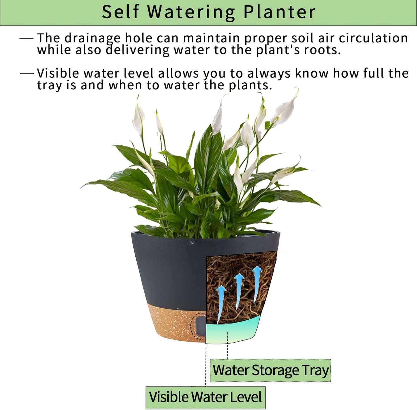 2 Pack Hanging Planters for Indoor Outdoor Plants, 10 Inch Hanging Flower Pot Basket with Drainage Hole with Removable Tray&Hooks Self Watering Plant Pot for Hanging Plants, Dark Grey