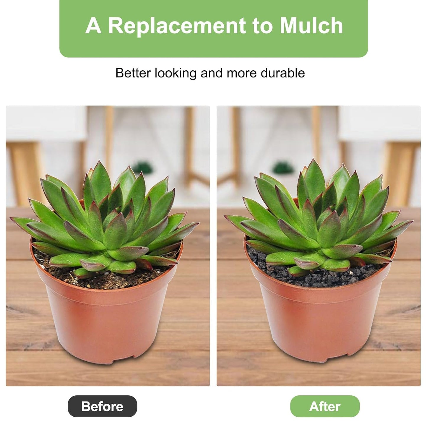 2.5lbs Lava Rocks for Plants, 1/5 Inch Black Gravel for Succulent, Cactus, Bonsai Tree, Pure Volcanic Rocks, Top-Dressing, Good Drainage