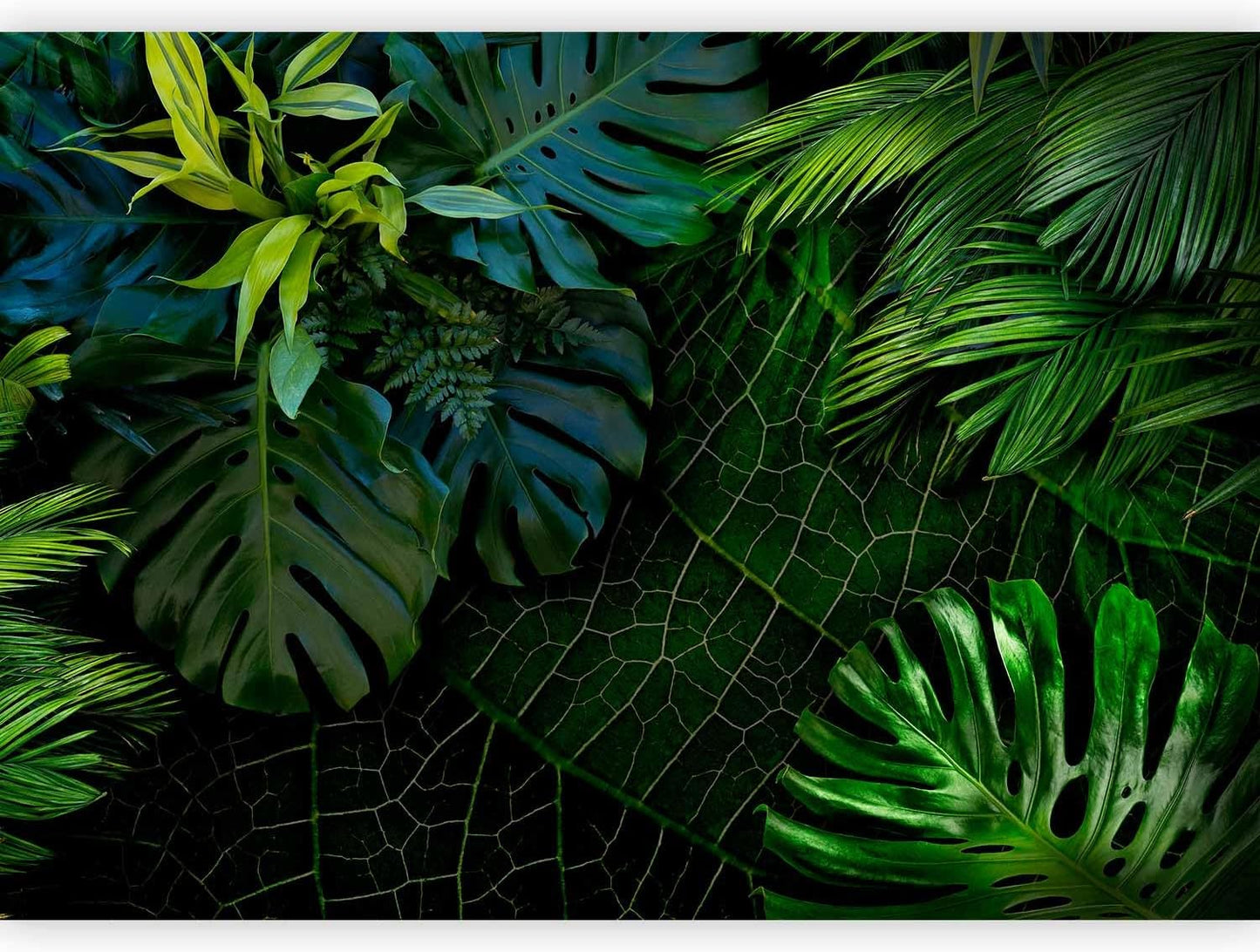 artgeist Wall Mural Tropical 177"x124" XXL Peel and Stick Self-Adhesive Wallpaper Removable Large Sticker Foil Wall Decor Print Picture Image Design