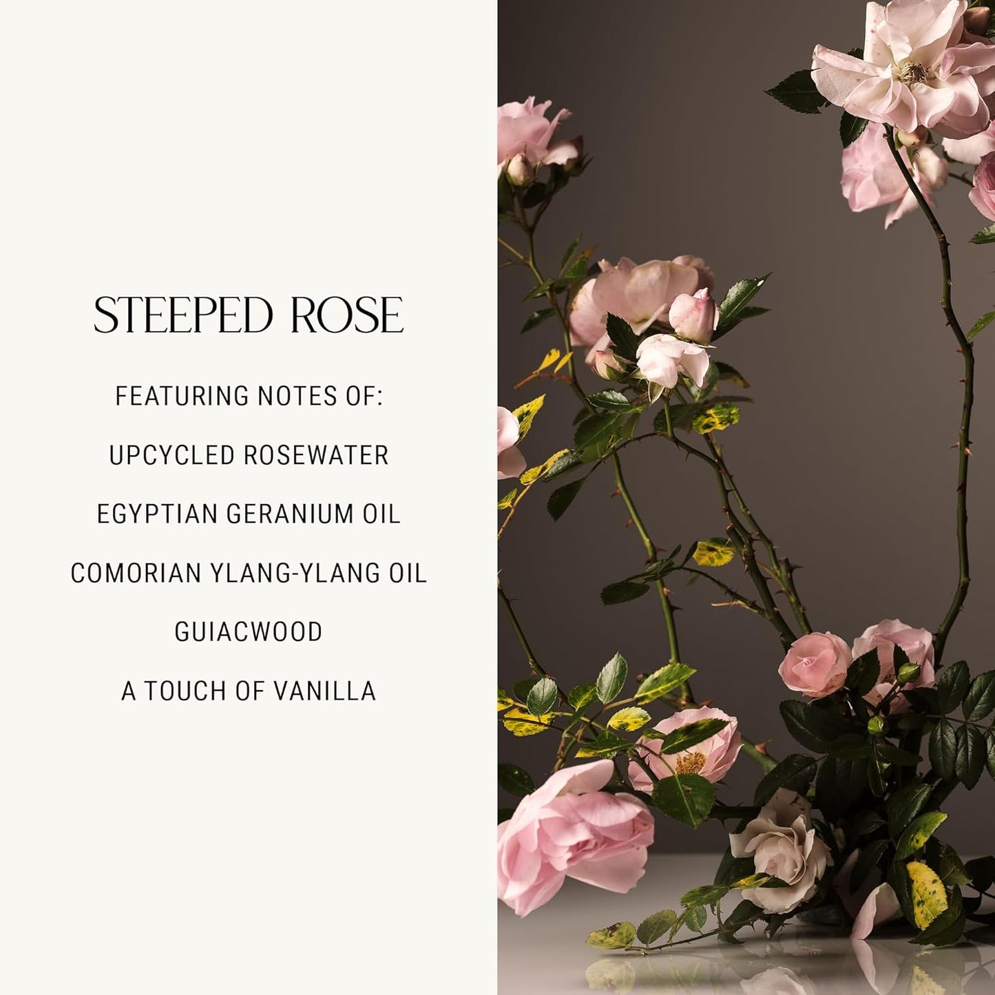 Homecourt Luxury Scented Candle, 60-Hour Burn Time, Soy Wax Blend & Organic Cotton Wick, Kiln-Fired Reusable Ceramic Vessel, Steeped Rose, 8 oz