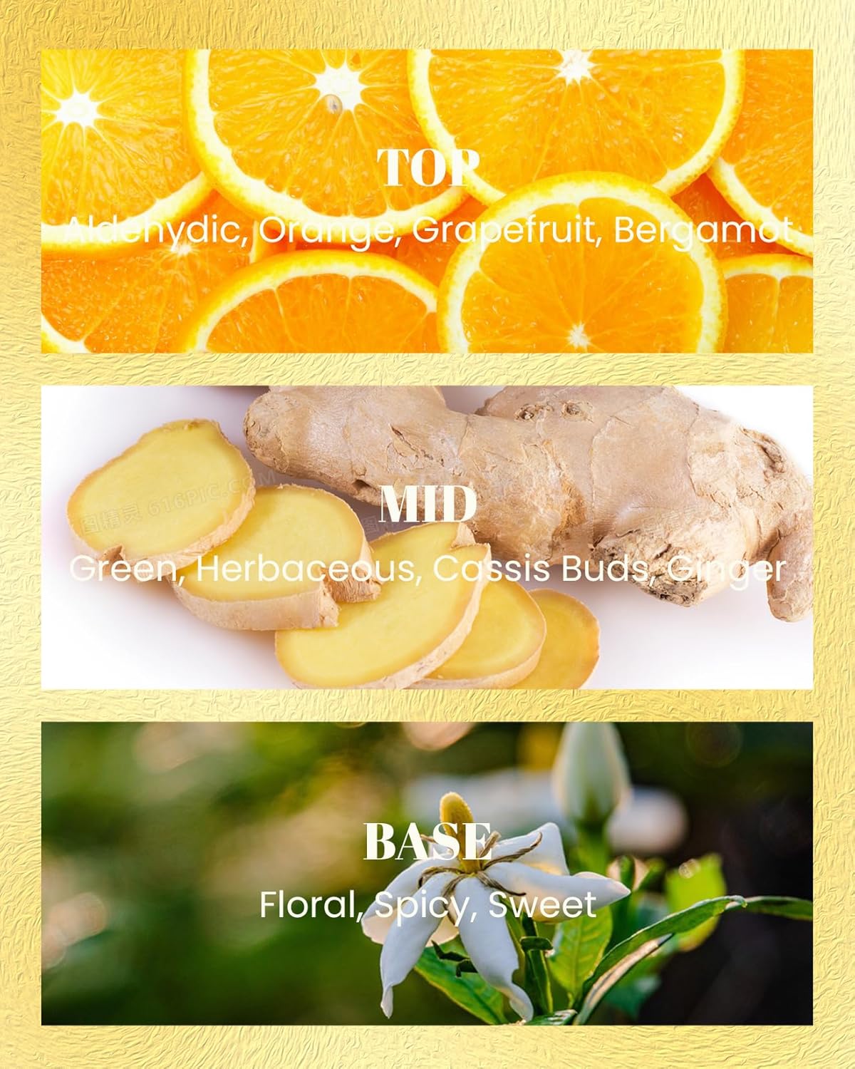 M&SENSE Orange Ginger Scented Candles, High Intensity, Vegan Soy Toxin Free Candles for Home Fragrance, 10oz 42-Hour Slow Burning Time, Kitchen Party Air Purifying Candle for Women Man