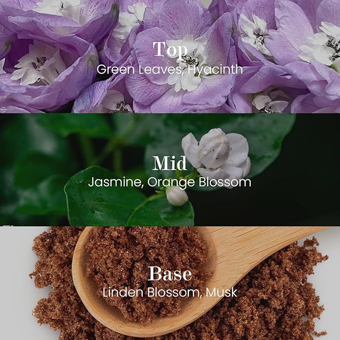 M&SENSE Natural Soy Candle| Bamboo Stream | 5.3 oz | Minimalist Scented Candle for Relaxation, Gifting, Home Décor | for Bedroom, Office, Party Small