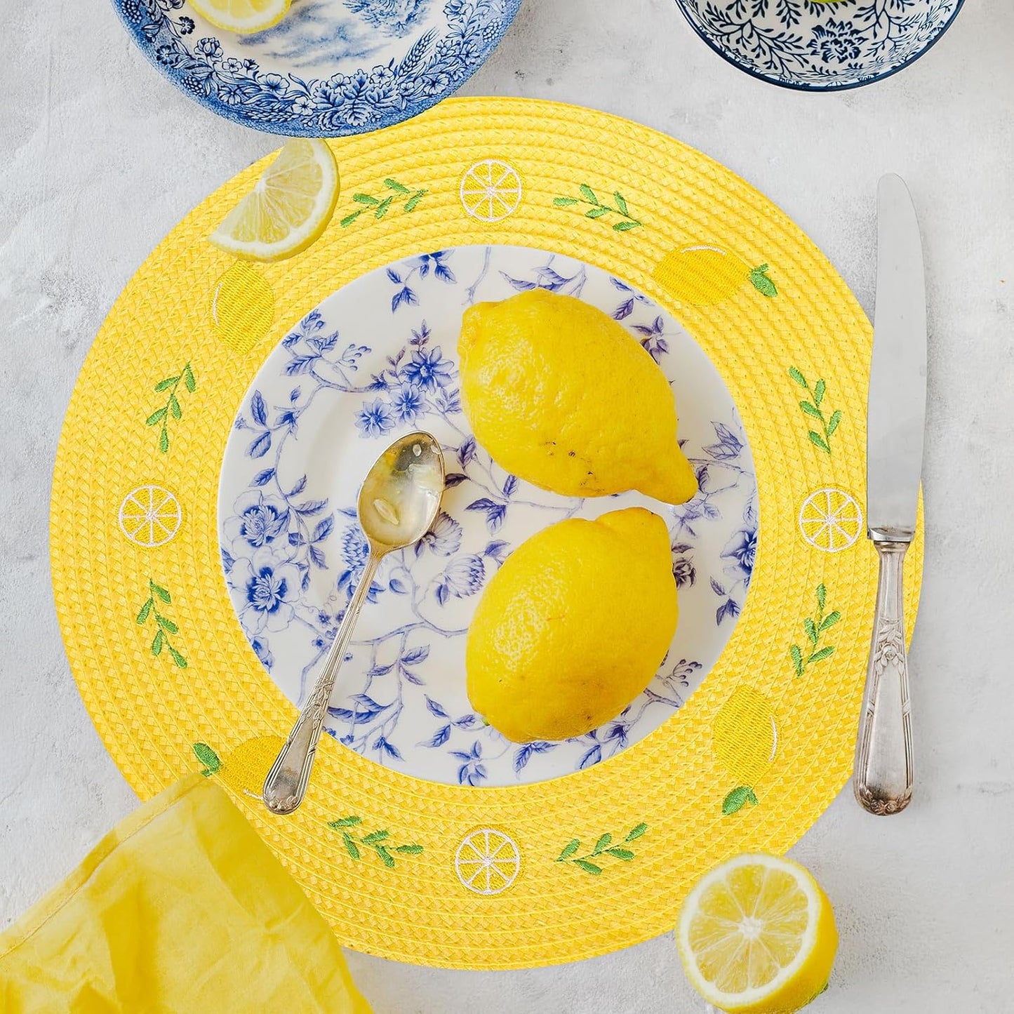 Whaline 4Pcs Round Placemats Lemon Embroidered Place Mats Summer Lemon Greenery Leaves Dinner Table Mats for Home Wedding Baby Shower Birthday Party Decor