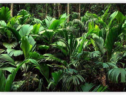 artgeist Wall Mural Nature 77x55 in - XXL Peel and Stick Self-Adhesive Wallpaper Removable Large Sticker Foil Wall Decor Print Picture Image Design Botanical Plants Jungle Leaves b-B-0594-a-a