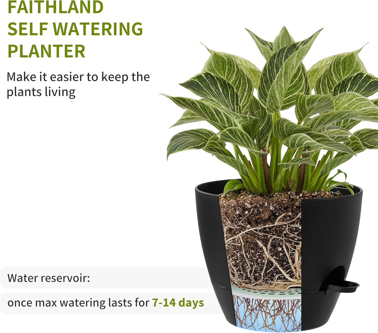 FaithLand 3-Pack Planter Pots, 10 9 8 Inch Self Watering Flower Pots for Indoor Outdoor Garden Plants, Black with Brown