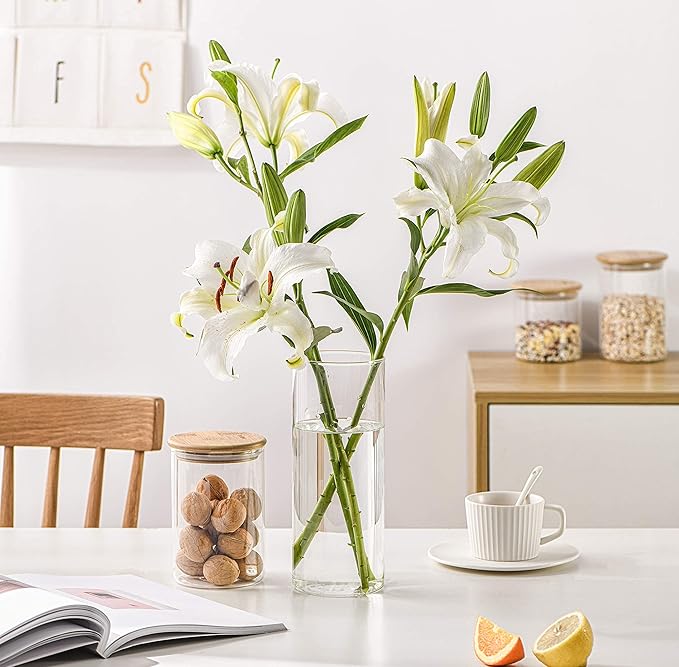 SIXAQUAE Glass Food Storage Containers Jar Seal Bamboo Lids 4 Packs 600ml Airtight Canister Organization Sets Stackable…