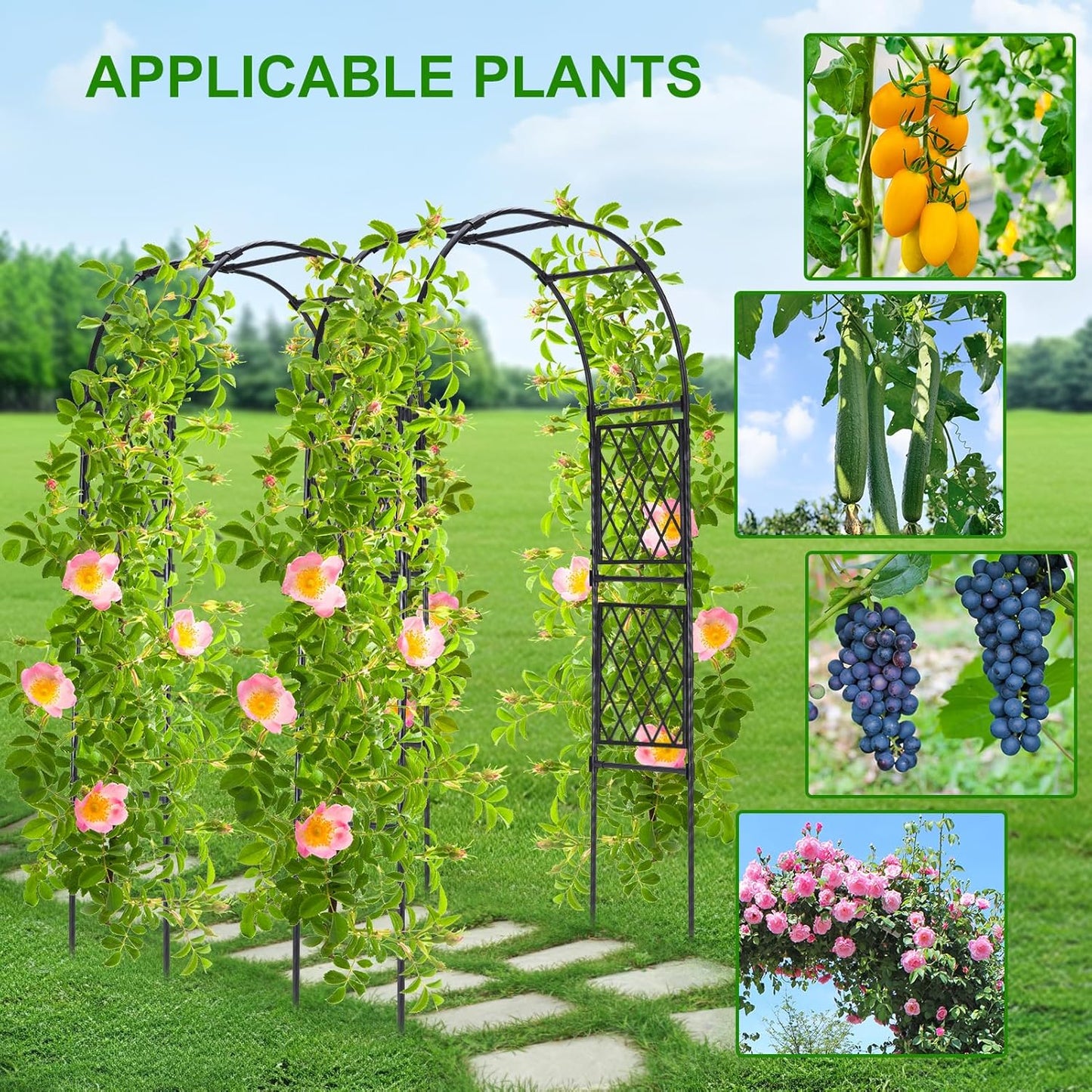 Lalahoni Garden Arch Arbor Trellis, 8ft Tall Outdoor Archway for Climbing Plants, Durable Garden Arch for Lawn, Party, Ceremony Wedding Decoration, Black