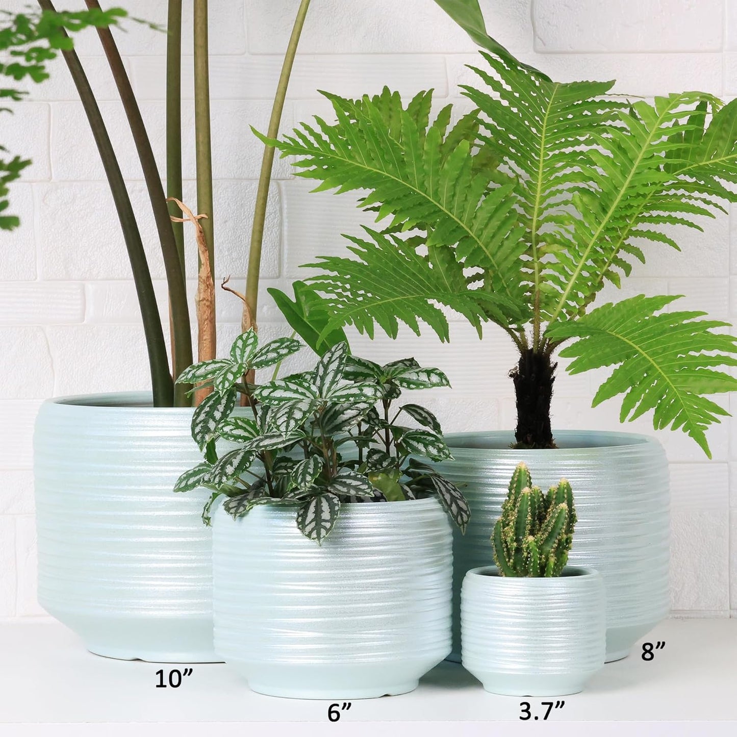 8 Inch + 6 Inch Ceramic Plant Pots Indoor with Drainage – Flower Pot Set, Decorative Indoor Planters for House Plants and Garden Use