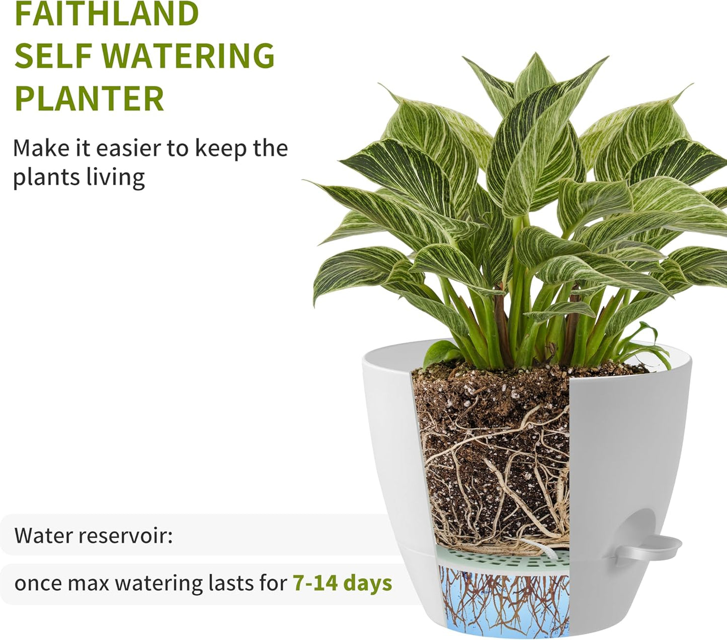 FaithLand 3-Pack Large Planter Pots, 12 10 9 Inch Self Watering Flower Pots for Indoor Outdoor Garden Plants, White