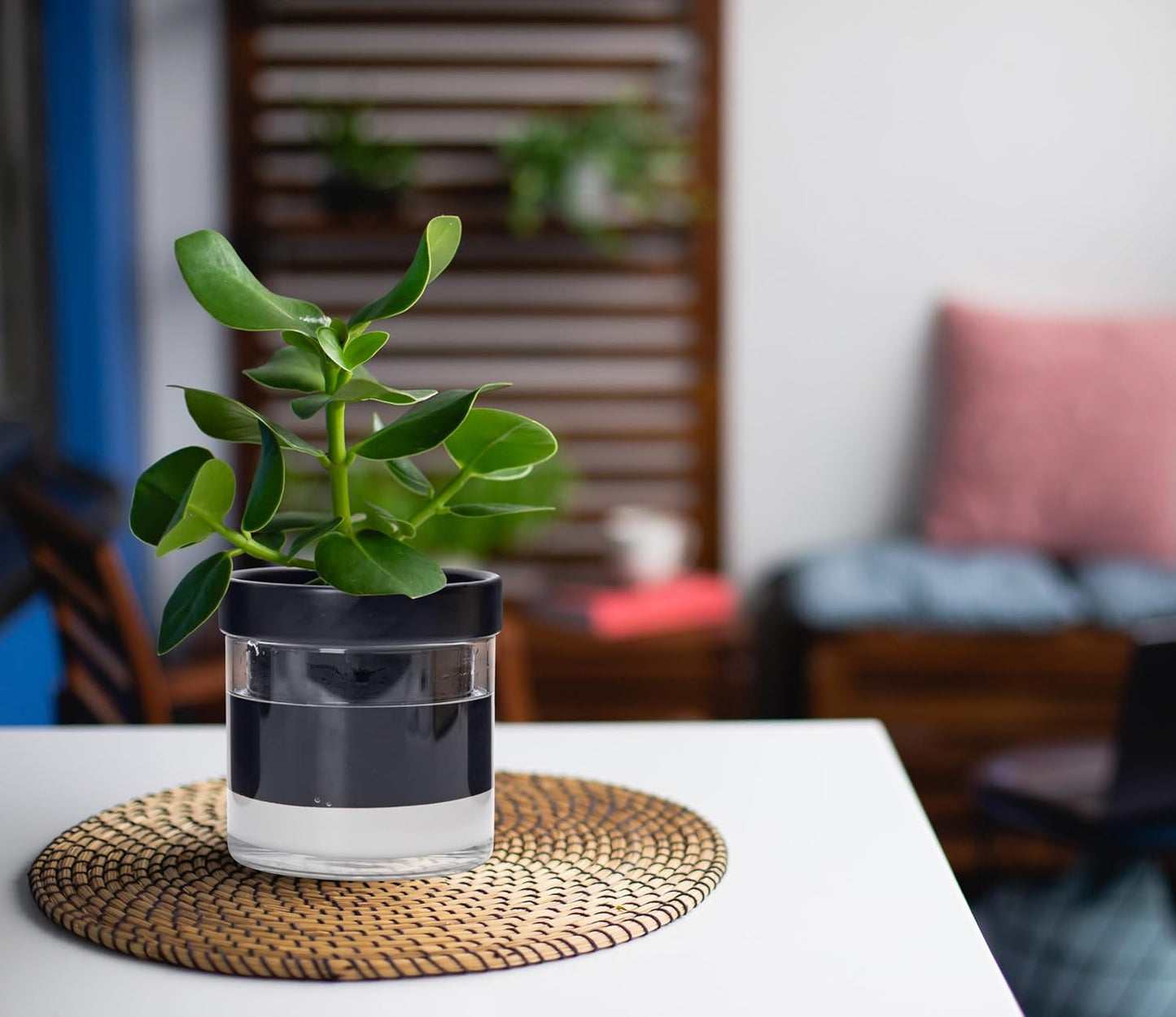 Phoenix Vine 4 Inch Self Watering Planter Pot, Black Terracotta Clay Pot with Glass Reservoir for Indoor Plants, Herbs, Flowers, Set of 3, 52-C-E-3