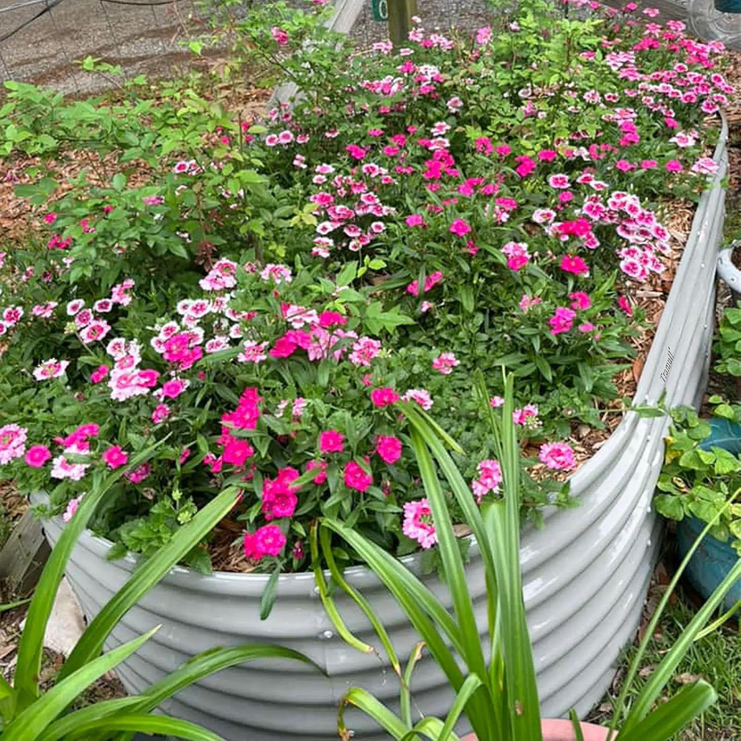 1 Pack 8x3x2FT Galvanized Raised Garden Bed Kit Oval Metal Ground Planter Box Outdoor Bottomless Planter Raised Beds for Vegetables Flowers Herbs Fruits, Gray