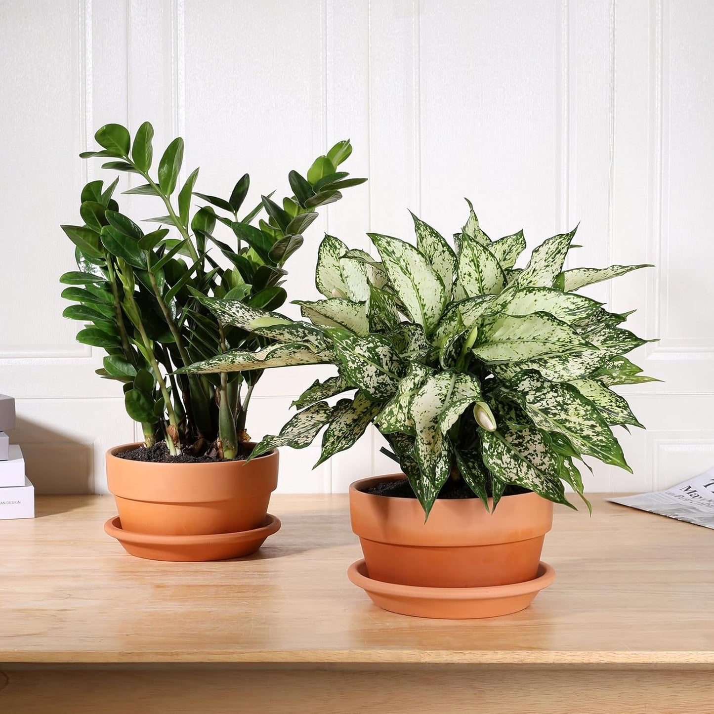 INGOFIN 8 Inch Terracotta Shallow Pots Set with Saucer - Ceramic Clay Pots with Drainage Hole, Terra Cotta Pot for Plants for Indoor Outdoor Plants, Set of 2