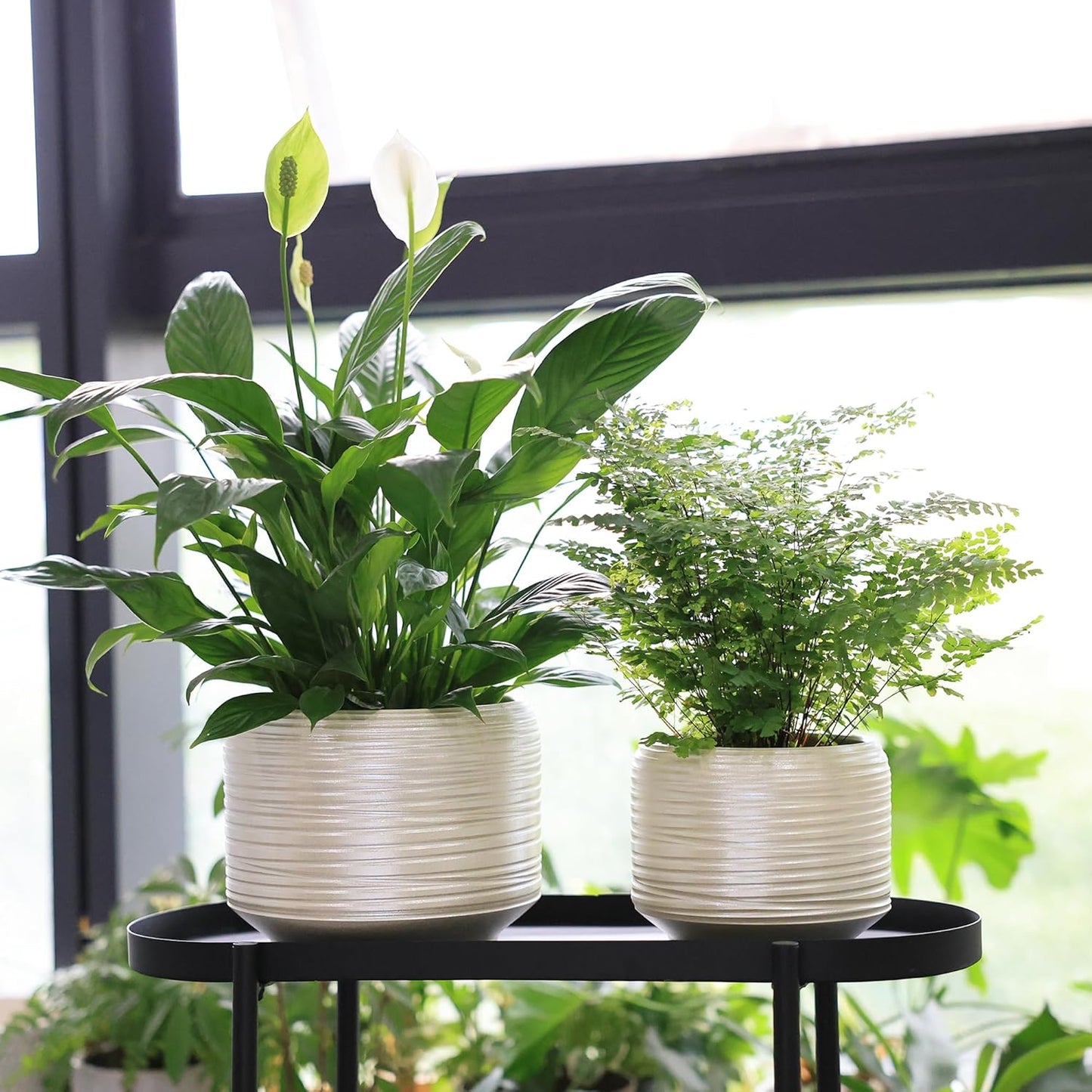 8 Inch + 6 Inch Ceramic Plant Pots Indoor with Drainage – Flower Pot Set, Decorative Indoor Planters for House Plants and Garden Use