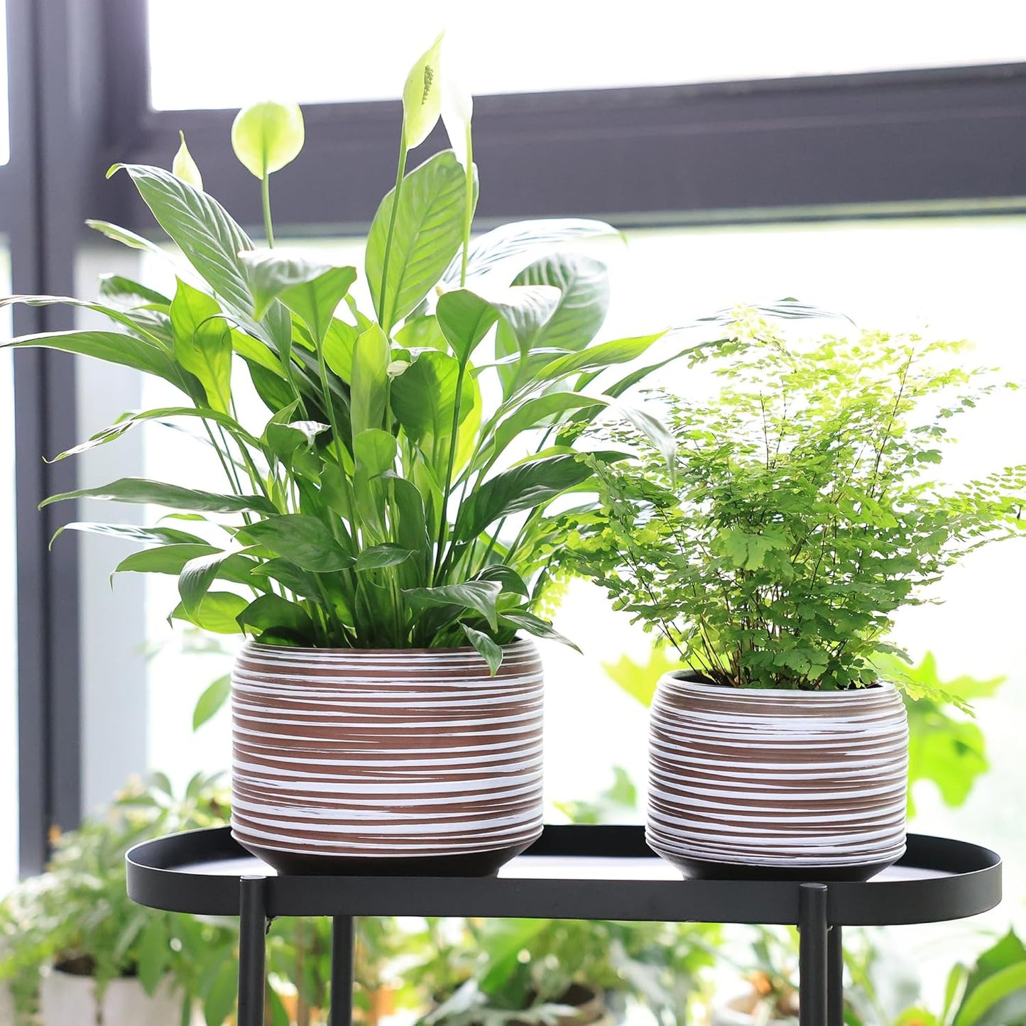 8 Inch + 6 Inch Ceramic Plant Pots Indoor with Drainage – Flower Pot Set, Decorative Indoor Planters for House Plants and Garden Use