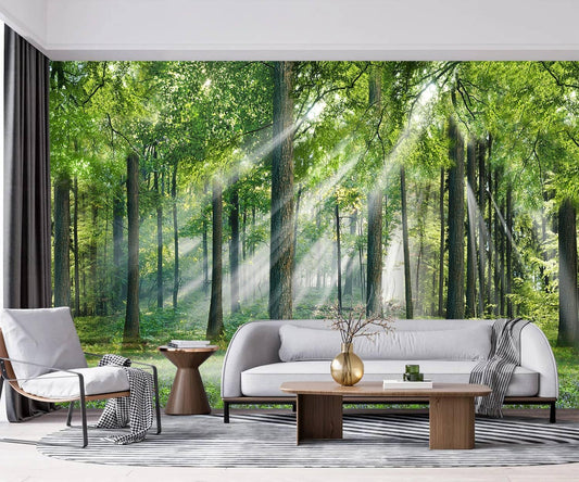 -Sunshine Forest Living Room Wallpaper XT24 L 180" x 115"